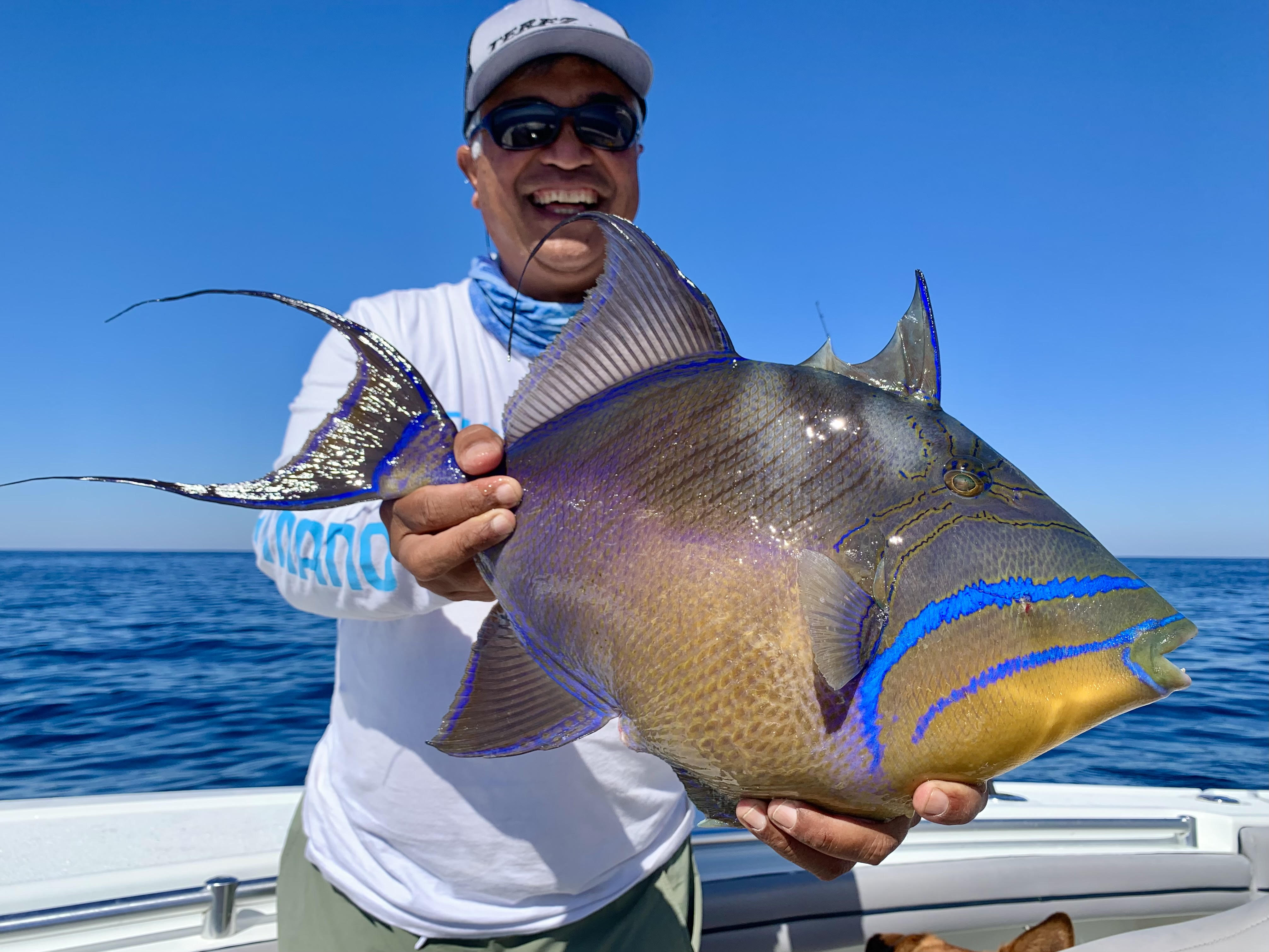 Triggerfish can be easier to catch than release | The Daniel